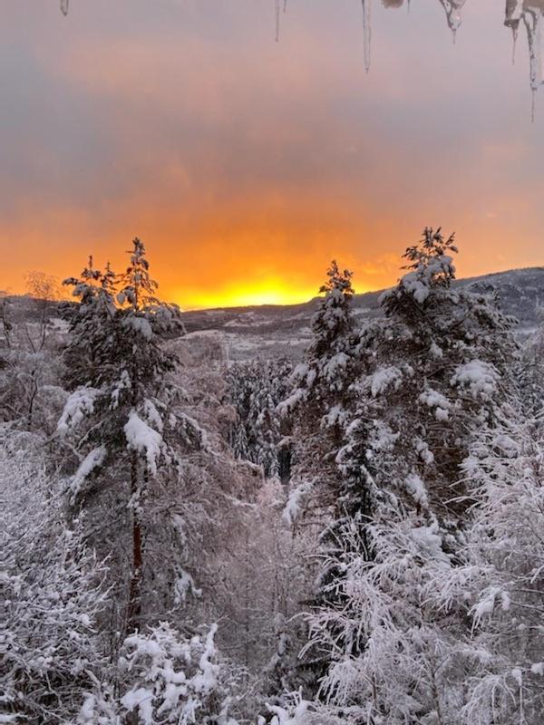 Valdres Gjestegard As - Fengselet Hove Dış mekan fotoğraf